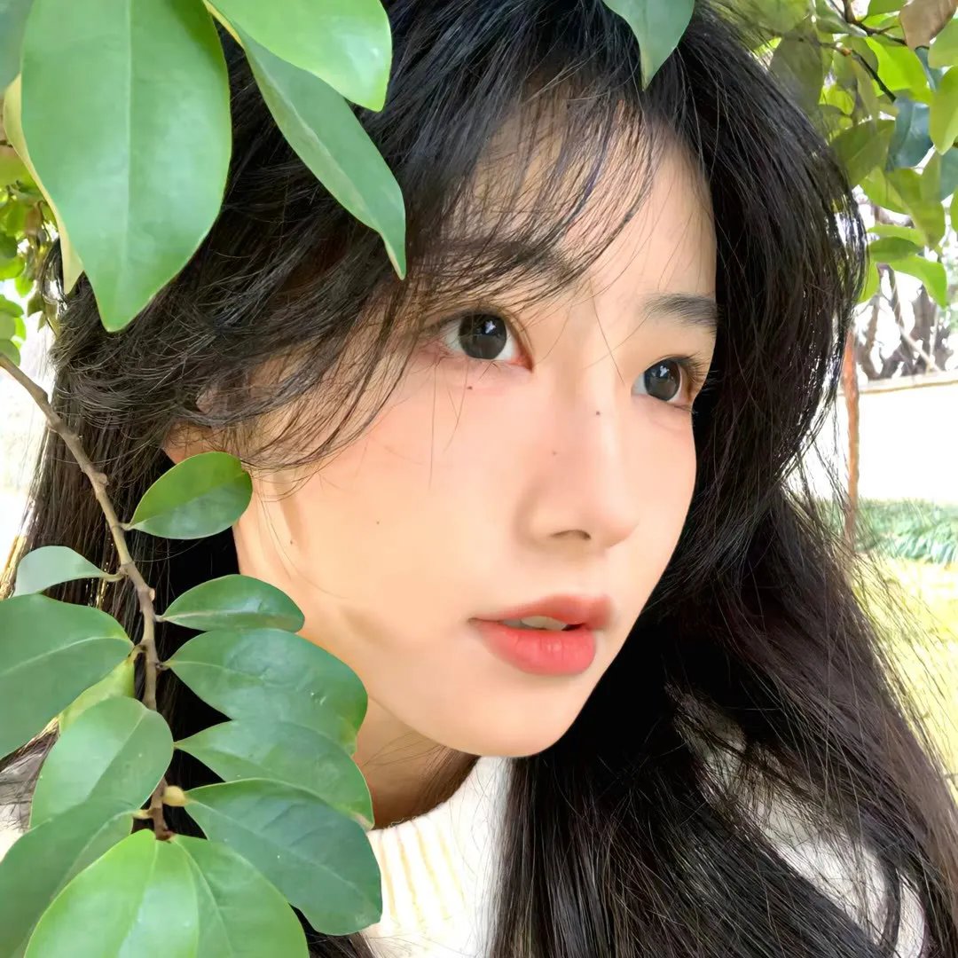 一场遇见爱情的旅行